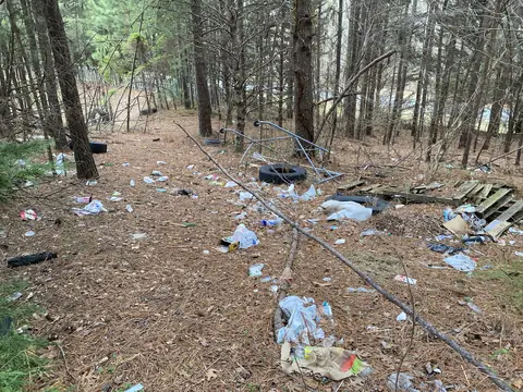 Environmental site assessment in Georgia