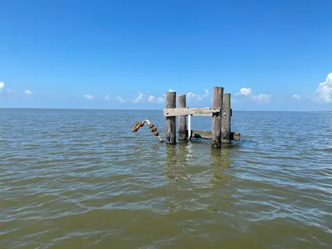 Site clearance survey in Louisiana