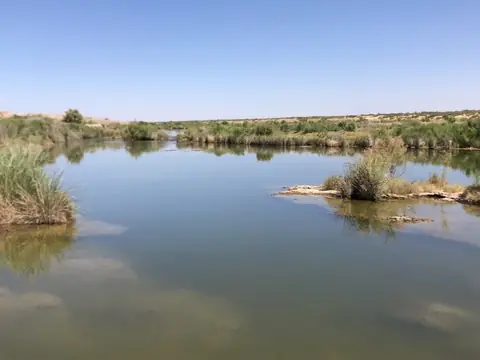 Wetland delineation in New Mexico