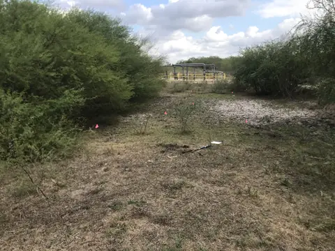 Wetland delineation in Texas